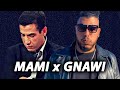Gnawi x cheb mami  el ghalia ali s remix