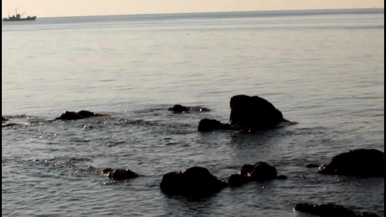 Порт пластун тернейлес. Теплоход река море. Пластун приморье. Морской прогноз пластун приморский. Морской прогноз пластун приморский.