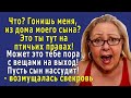 - Выгоняешь меня? – вопила СВЕКРОВЬ, - Это дом моего сына, а ты тут на птичьих правах!