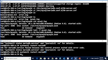 INFO 366 7 Logging MariaDB Practical
