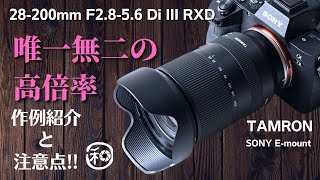 TAMRON 28-200mm F/2.8-5.6 Di III RXD唯一無二の高倍率ズームを作例も踏まえあらためてレビューします!!【 カメラ レンズ 】