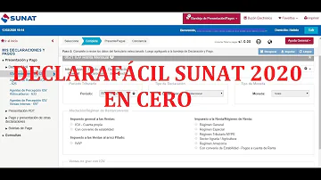 ¿Cómo hacer para declarar en cero?