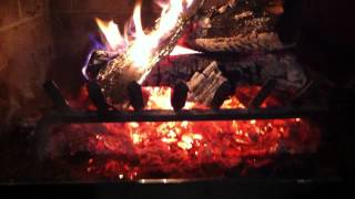 Berkeley and I by the fireplace by Jocelyn Olson 91 views 11 years ago 1 minute, 9 seconds