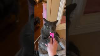 When The Snack Hits Just Right