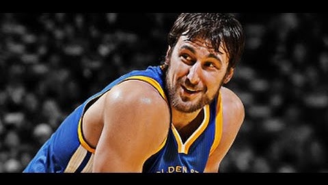 Andrew Bogut