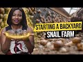 A simple formula to making millions in snail farming  2023 guide