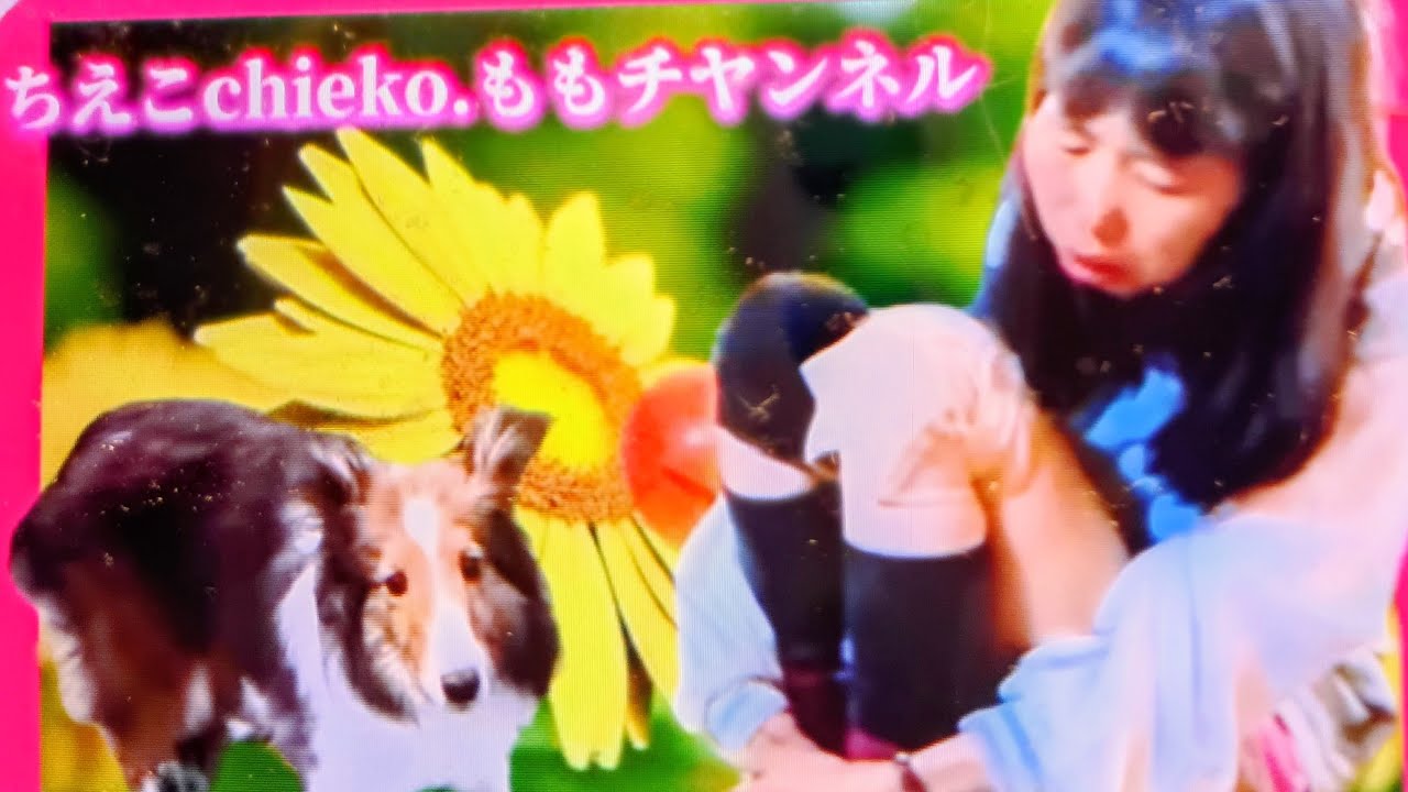 楽しい配信🤩🤩🤩🤩