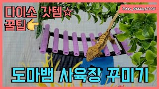 꾸즈tv_크레스티드게코 사육장 꾸미기 꿀팁! - 다이소갓템☆