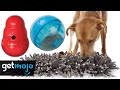 Top 5 Best Toys to Mentally Stimulate Your Dog