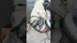 Hdanir Gablug Sepatu Ilang Wko Waduk Kondiang Amgel E