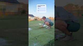 Removing bubble from the lawn🫧 #viral #ytshorts #lawn