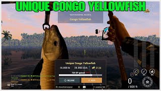 How To Catch Unique Congo Yellowfish Hotspot Guide - At The Congo River - Fishing Planet screenshot 4