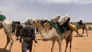 Meet Mauritania's Mehari National Guards screenshot 3