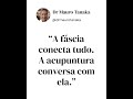 Fascia e Acupuntura