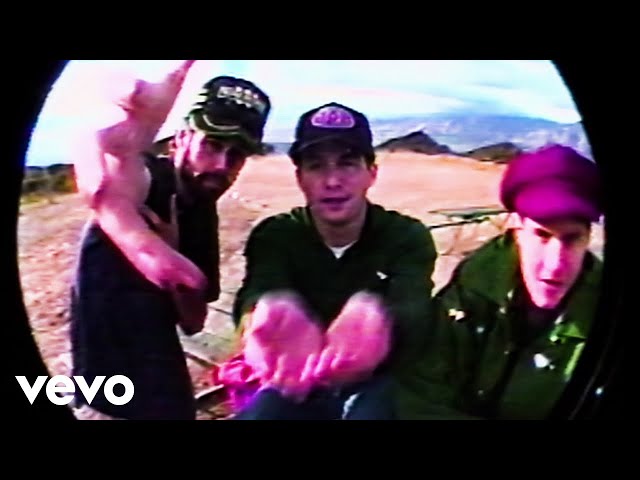 BEASTIE BOYS - LOOKING DOWN THE BARREL OF A GUN