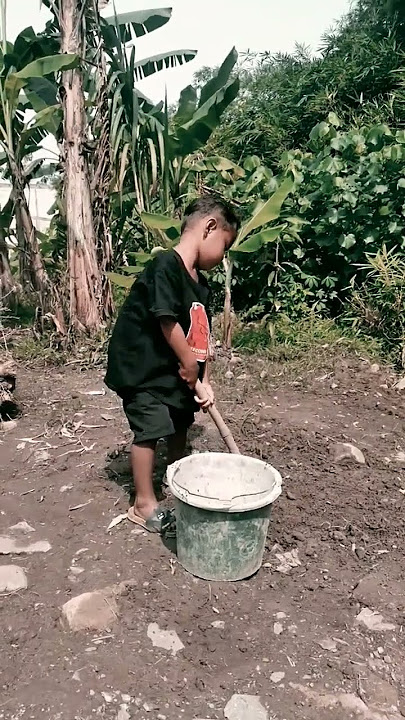 #storywa #story paijo