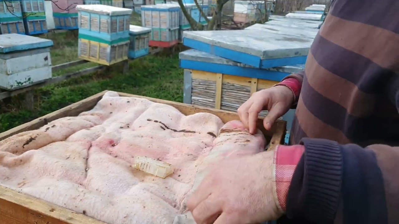 (01.01.2025)  UN NOU ÎNCEPUT