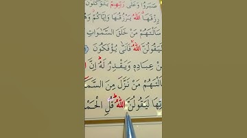 سورة العنكبوت الأية 63 القارئ سعد الغامدي