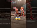 Crazy Ringside View Highlights From #BenavidezPlant 🤯 #boxing
