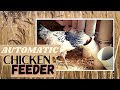The BEST Automatic Chicken Feeder | Automatic PVC Pipe | Homemade Chicken Feeder