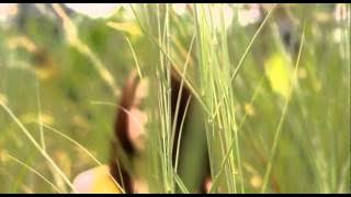 MONITA - kekasih sejati (fan made Video Clip)