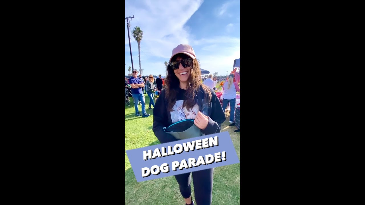 I went to the largest Halloween dog event in the world! The costumes were UNBELIEVABLE.