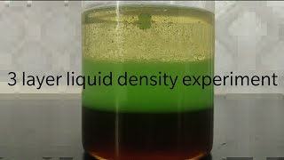 3 layer liquid density experiment!!! Science friday