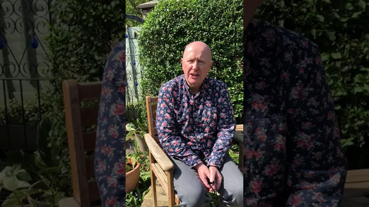 From Isolation – Inspiration Niall Buggy