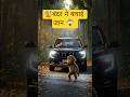 इस बंदर ने बचाई इंसान की जान 😱❤️| दिल छू लेने वाली कहानी | #shorts