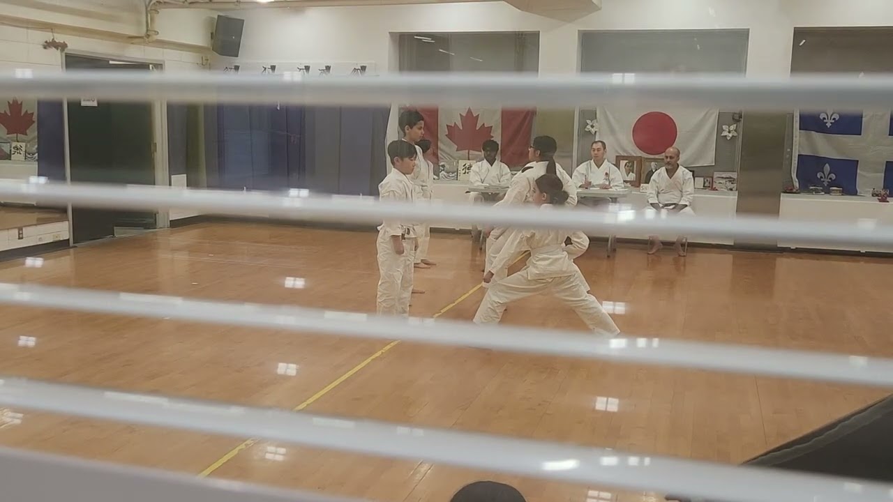 Zandros Shidokan