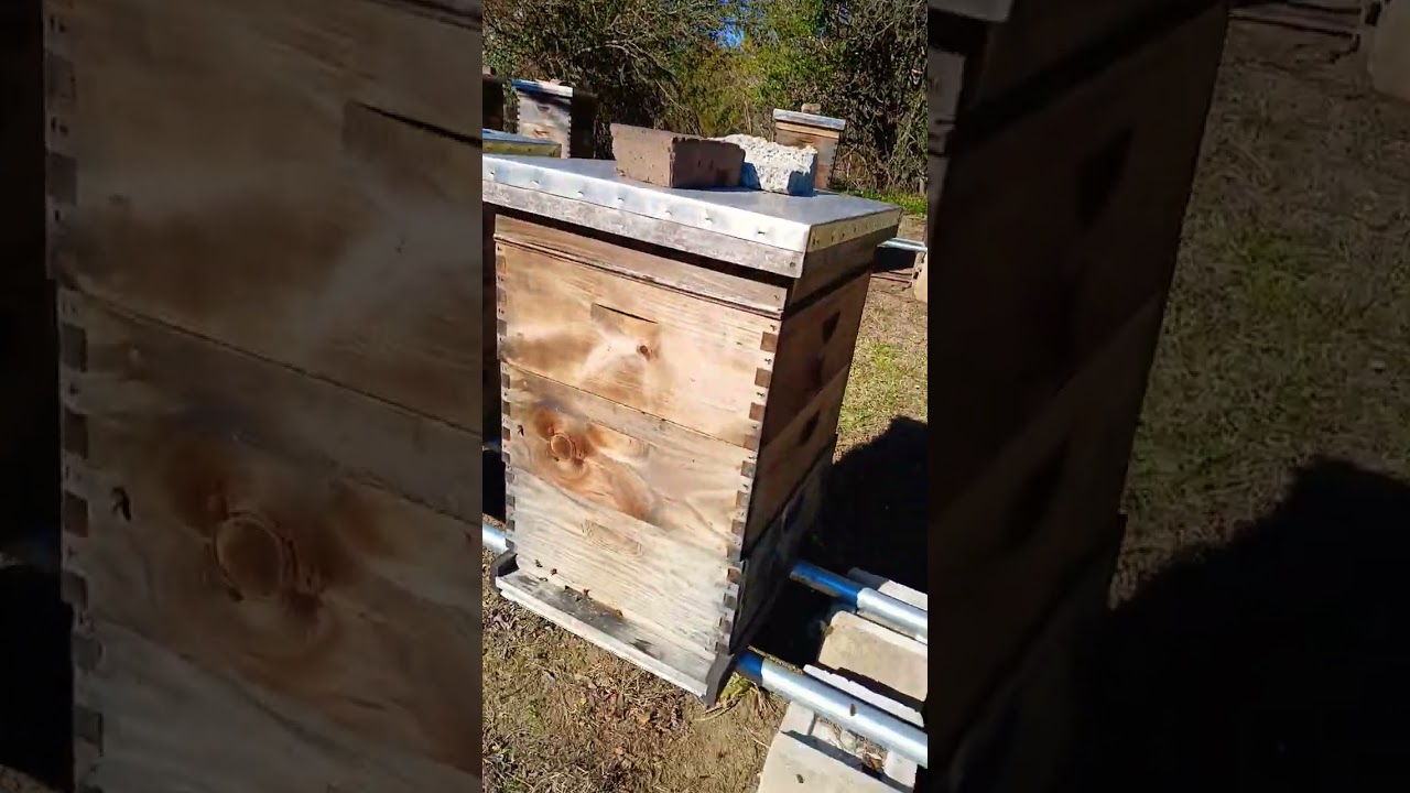 16 января 2026 г.