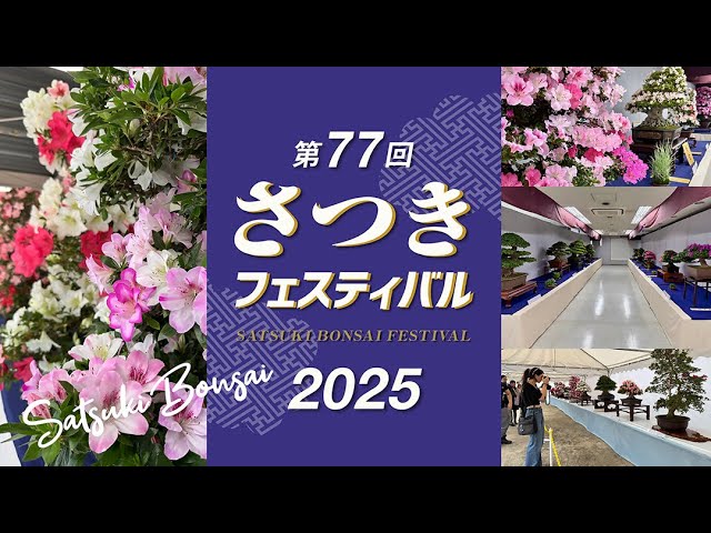 第77回 さつきフェスティバル2025 in上野】#さつきフェスティバル