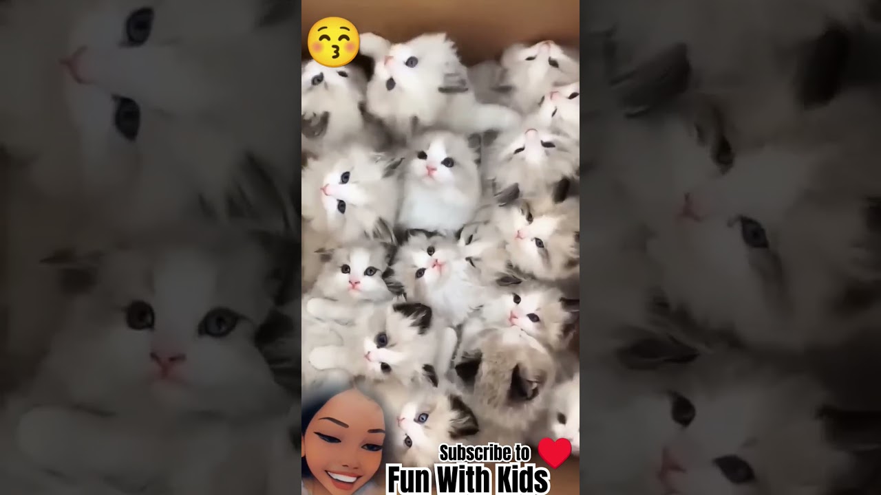 Cat Crew Chronicles: A Bunch of Adorable Whiskered Wonders 😍🐕🧸🐈 ❤️🐾 