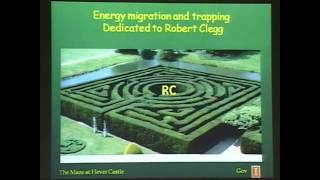 Energy Harvesting : How Plants Capture Light Energy and Convert It into Chemical Energy