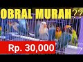 Harga Burung Lovebird Tahun 2020