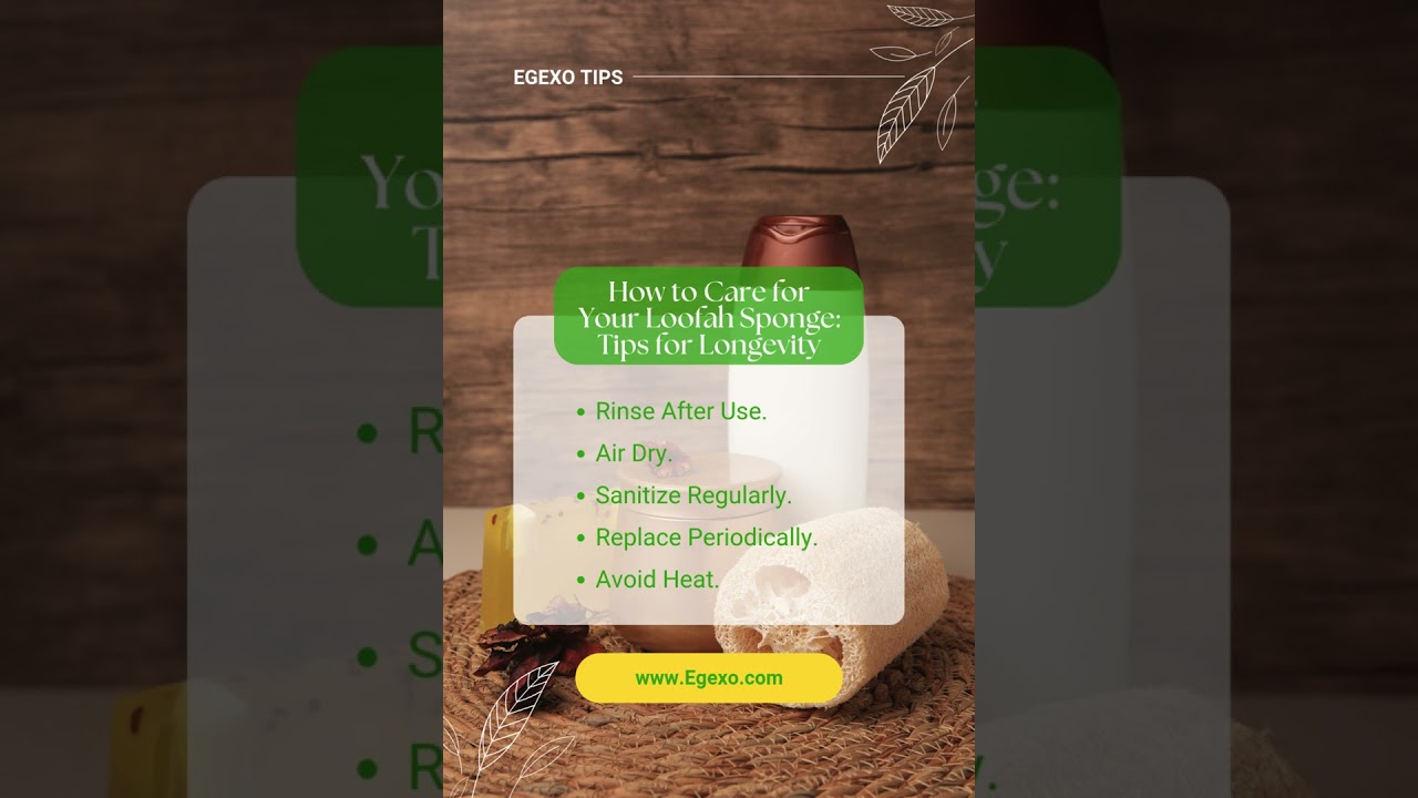 How to Care for Your Loofah Sponge  Tips for Longevity 