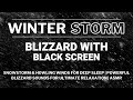 Snowstorm &amp; Howling Winds for Deep Sleep | Powerful Blizzard Sounds for Ultimate Relaxation | ASMR