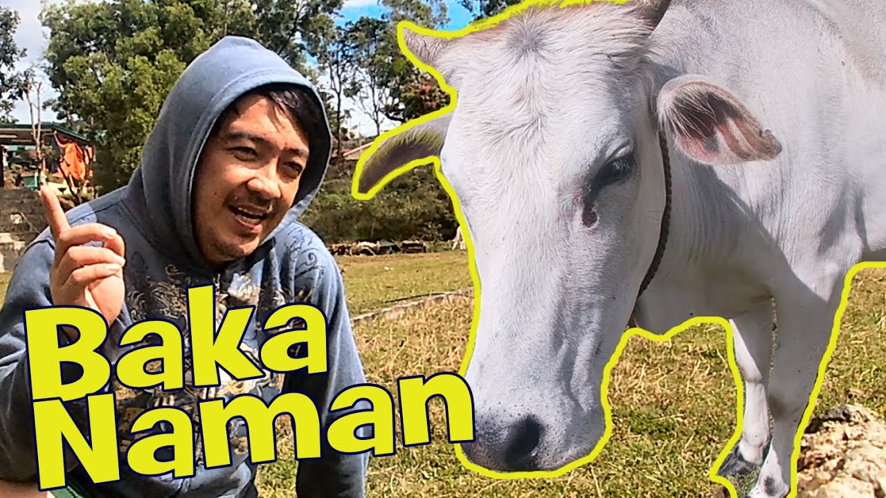 Tour at BSU Campus Bokod Benguet - Remembering BSAT High School Life