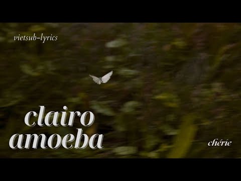 ❝VIETSUB•LYRICS❞ Amoeba  | Clairo