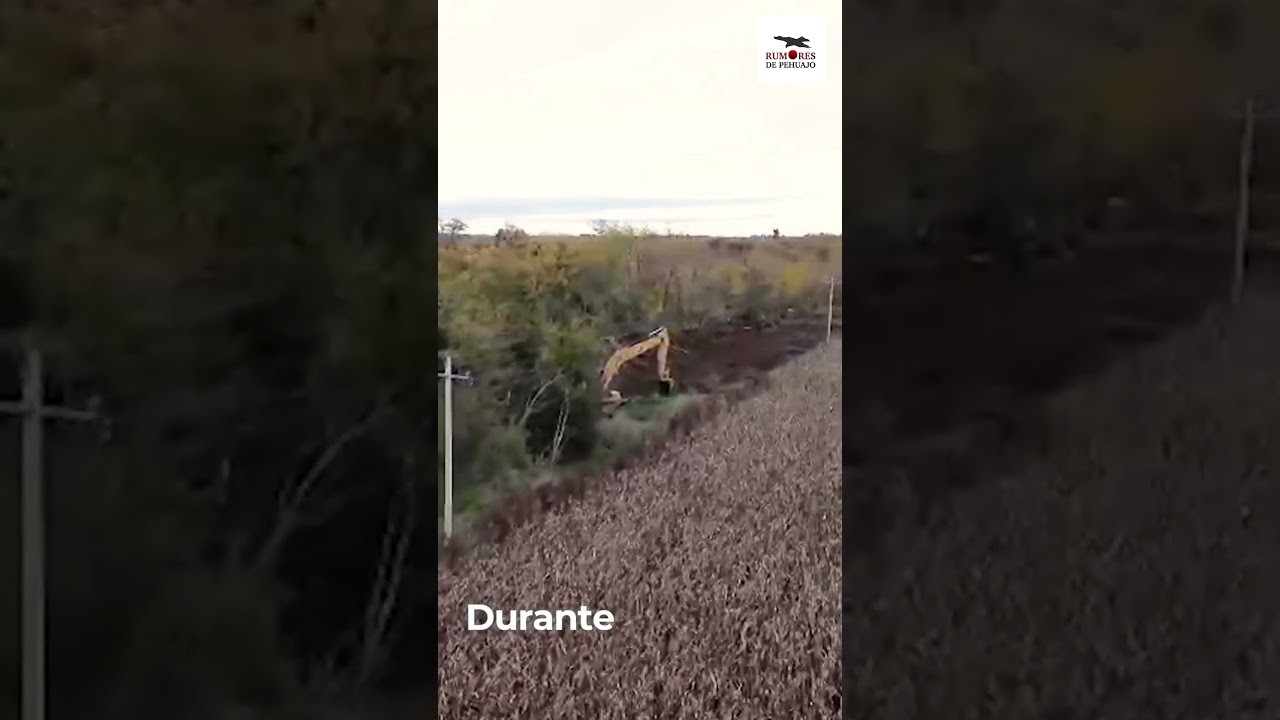 La Cooperativa Eléctrica realizó tareas de desmonte en la Línea Troncal Chiclana – Guanaco