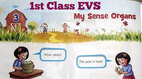 Viva Environmental Studies Class 1st Chapter-3 My Sense Organs