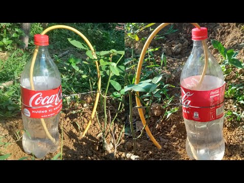 Video: Bespaar water. DIY drupbesproeiing