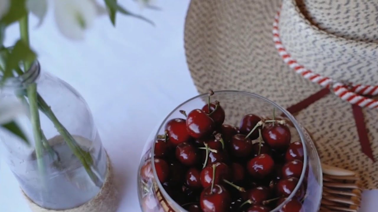 GLOBALink | Chile kicks off fresh fruit export season with eye on Chinese market