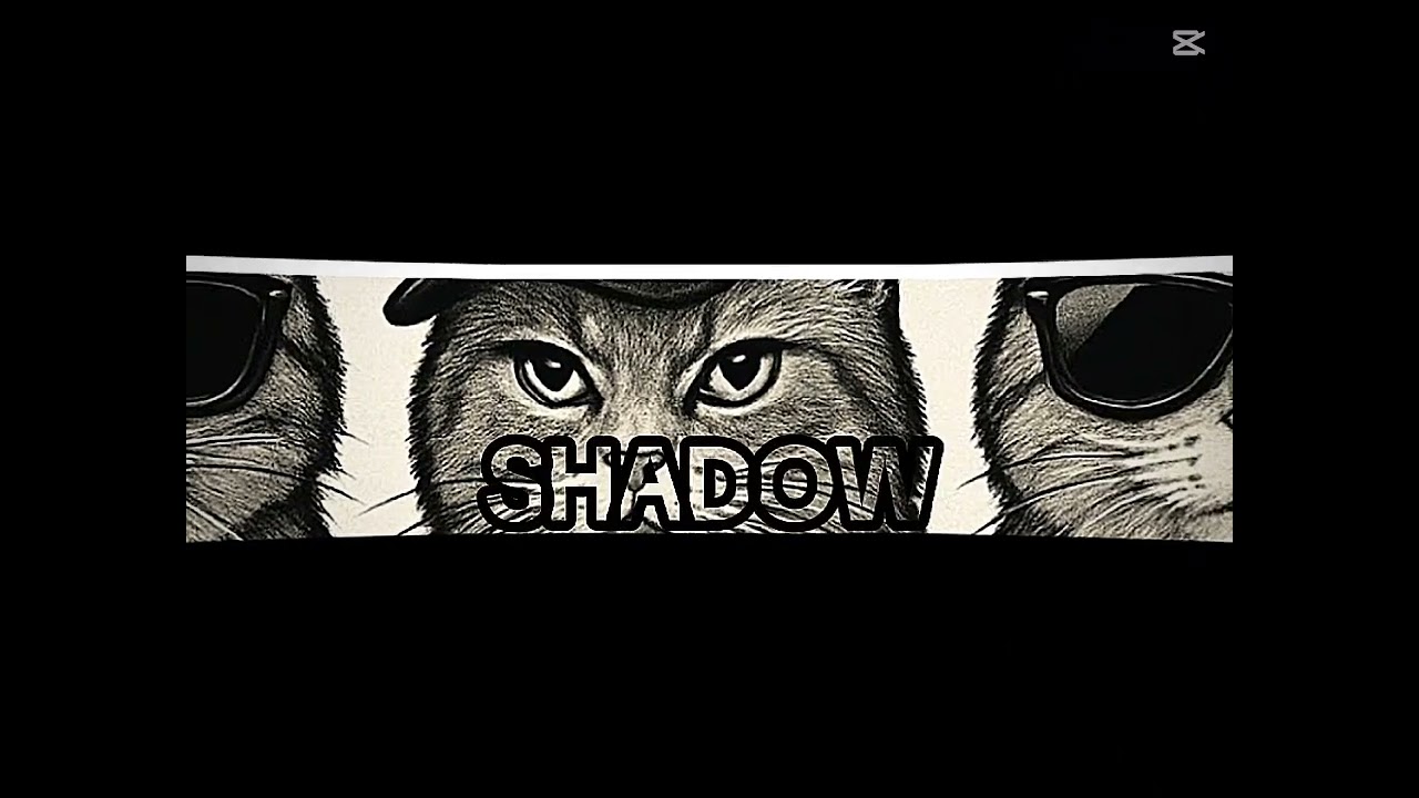 Dalga geçmiyorum yapabildiğimi yaptım