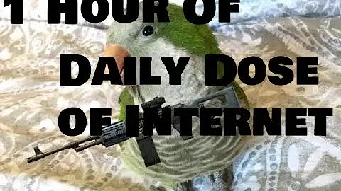 1 Hour of Daily Dose of Internet
