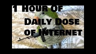 1 Hour of Daily Dose of Internet
