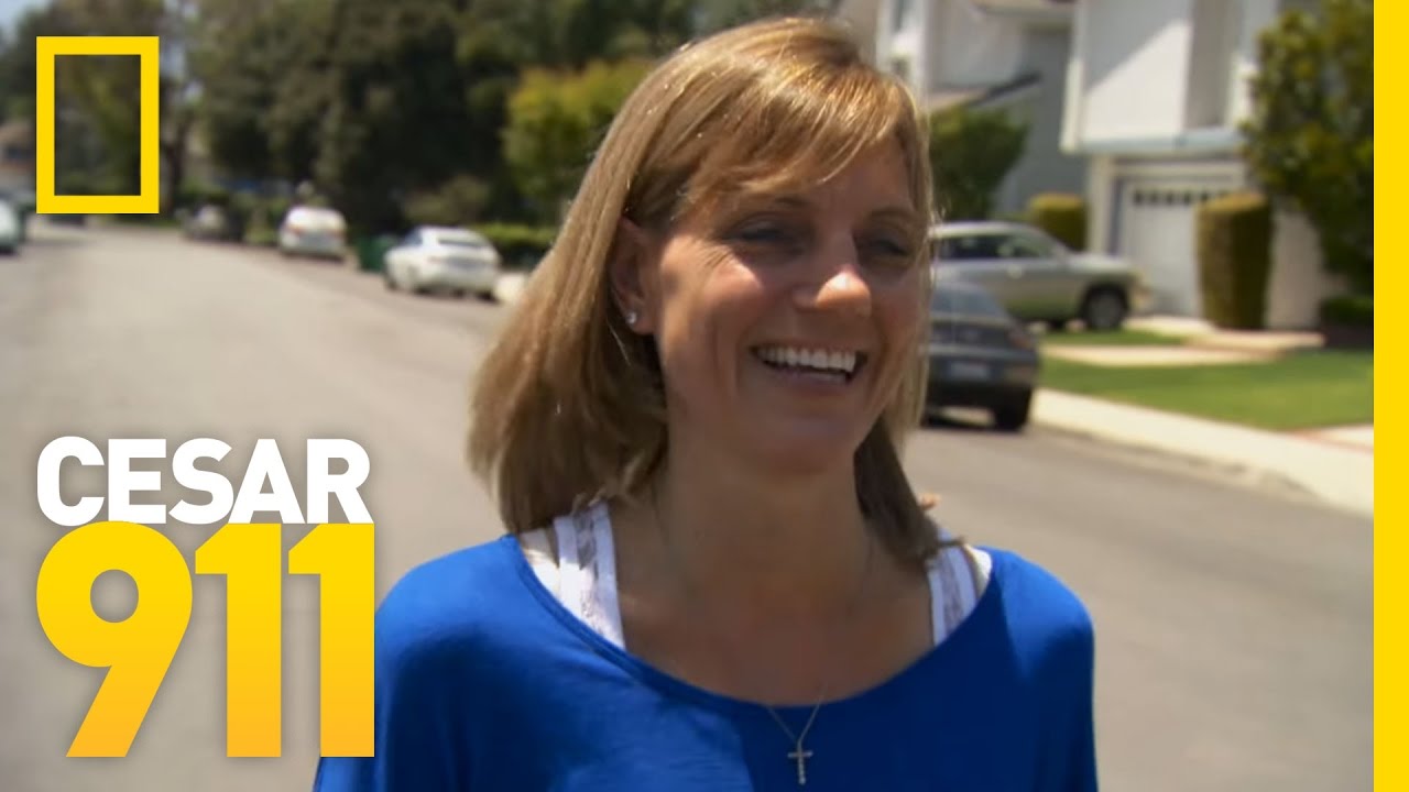 nat geo wild logo Nurturing Confidence | Cesar 911