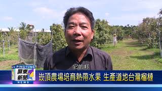 109 0506 崁頂農場培育熱帶水果 生產道地台灣榴槤