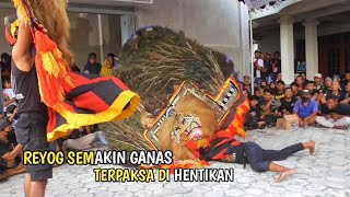 DETIK-DETIK REOG NGAMUK LANGSUNG DI HENTIKAN ❗ REOG PONOROGO
