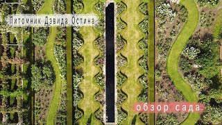 видео: Розы в саду 2022. Питомник Дэвида Остина. Прогулка по розовому питомнику.Розовый сад Остина.КОНКУРС! картинка: Розы в саду 2022. Питомник Дэвида Остина. Прогулка по розовому питомнику.Розовый сад Остина.КОНКУРС!